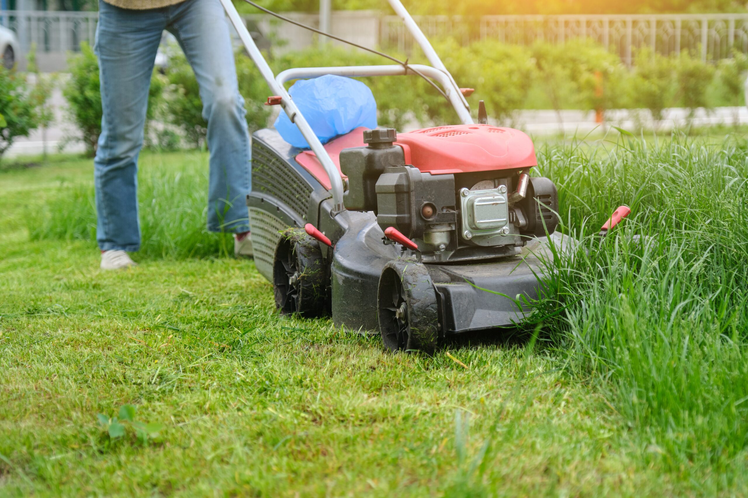gardener-woman-legs-mowing-grass-with-lawnmower-c-2024-12-08-04-50-23-utc